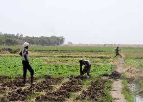 Desarrollo más allá de los números