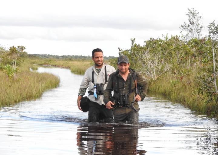 Tengamos el turismo en paz Tengamos el turismo en paz