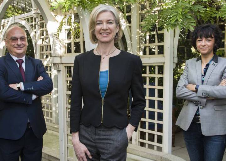 Los científicos que quieren reparar al ser humano con la caja de herramientas de las bacterias Los científicos que quieren reparar al ser humano con la caja de herramientas de las bacterias