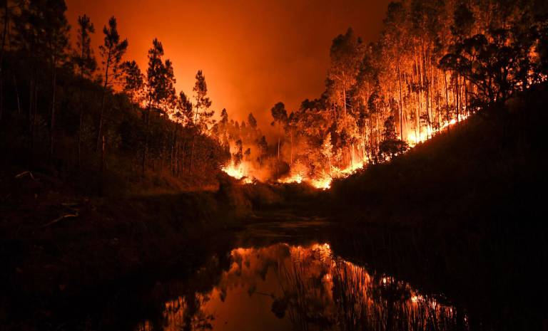 Incendio en el municipio de Pedrógão Grande, en el centro de Portugal.