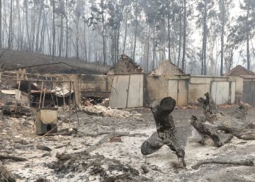 Tragedia en Portugal Tragedia en Portugal