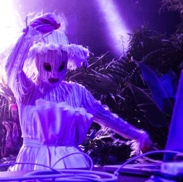 Björk, en pleno dj set.