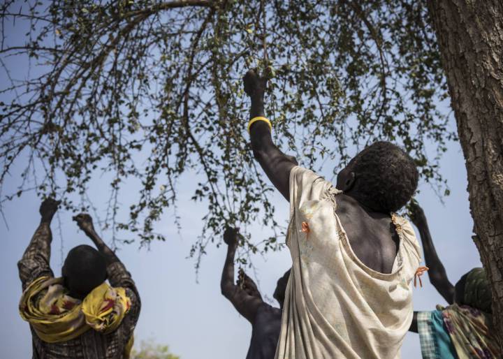 No hay dinero para luchar contra el hambre No hay dinero para luchar contra el hambre