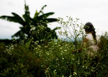 Hábitos saludables para luchar contra el calentamiento global Hábitos saludables para luchar contra el calentamiento global