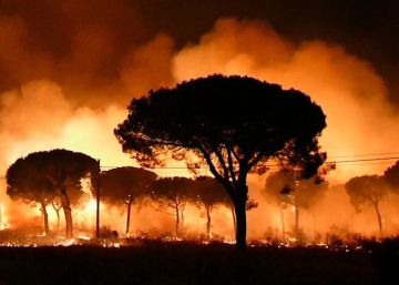 Incendio forestal en Doñana, en imágenes