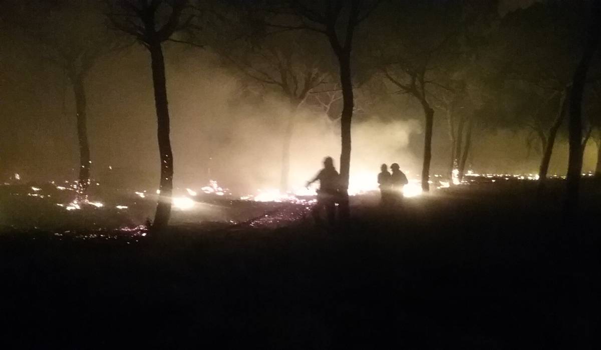 Trabajos de extinción del fuego.