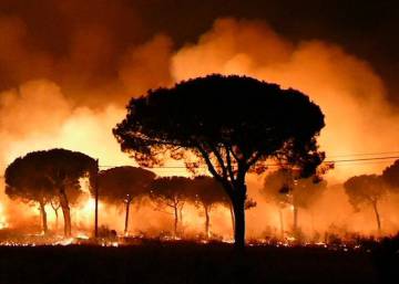 La cifra de evacuados por el incendio en Doñana se eleva a más de 2.000
