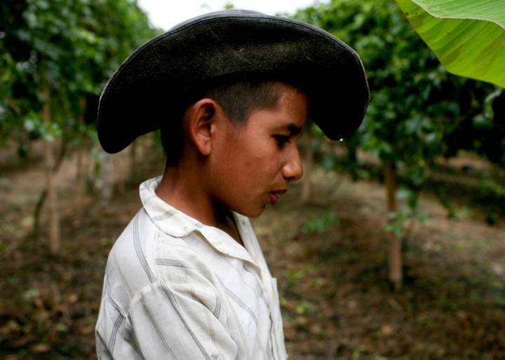 La paz se siembra en el campo colombiano La paz se siembra en el campo colombiano