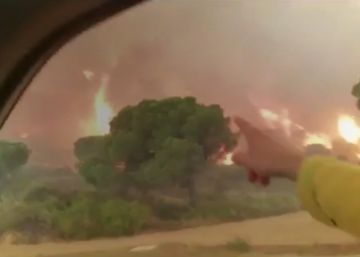 Los usuarios de Twitter muestran el infierno de Doñana Los usuarios de Twitter muestran el infierno de Doñana
