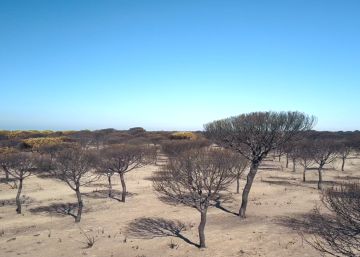 El incendio de Doñana a vista de dron El incendio de Doñana a vista de dron