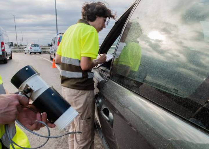 The invasion of the winged insects The invasion of the winged insects