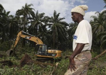 Sierra Leona se queda sin tierra cultivable Sierra Leona se queda sin tierra cultivable