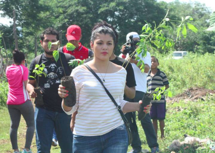 La difícil apuesta de Nicaragua por rescatar sus bosques La difícil apuesta de Nicaragua por rescatar sus bosques