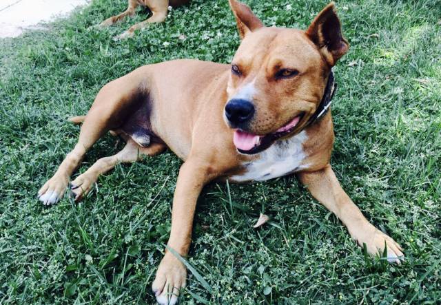 ‘Keko’ busca su quinto milagro