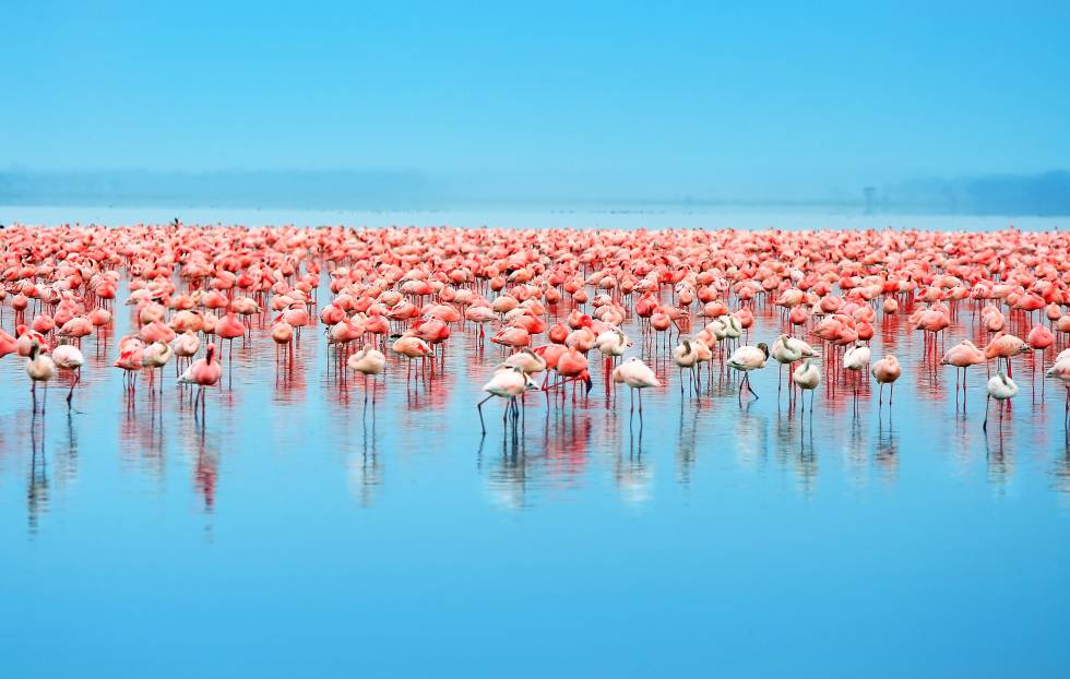 Memorias de África en Kenia con El País Viajes