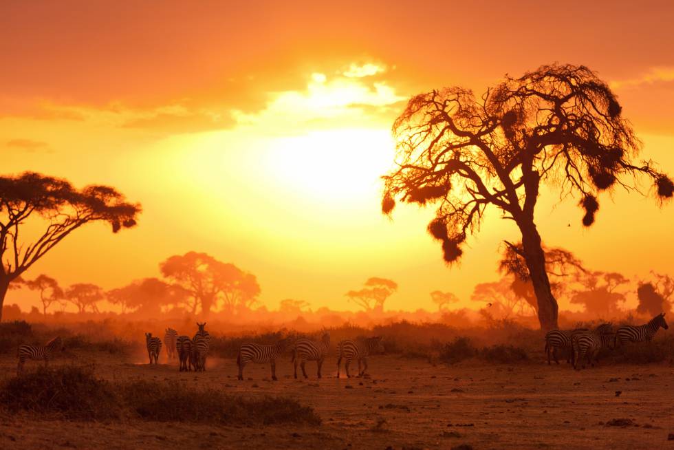 Memorias de África en Kenia con El País Viajes