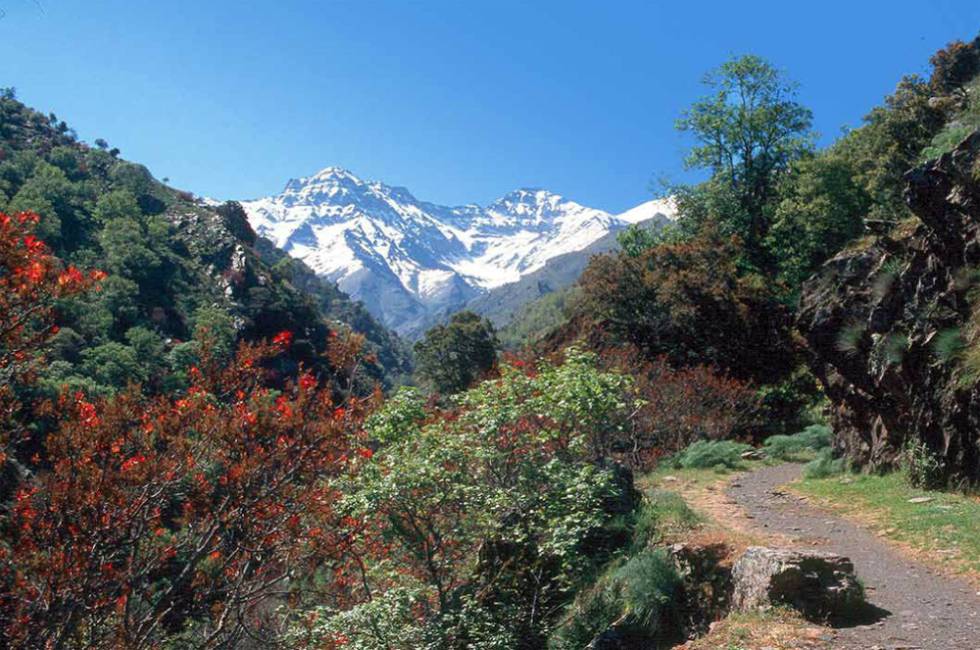 Vereda de la Estrella, un paseo por el 'Himalaya' andaluz