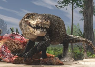 El cocodrilo gigante que tenía la dentadura de un Tiranosaurio Rex El cocodrilo gigante que tenía la dentadura de un Tiranosaurio Rex