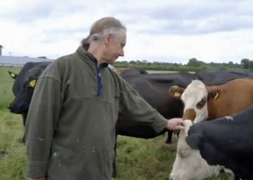 Un pastor vegetariano dona sus 63 vacas Un pastor vegetariano dona sus 63 vacas