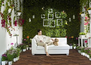El lado oculto de la planta del salón