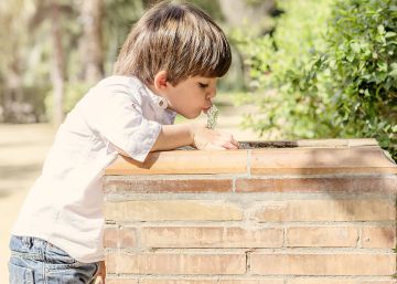 ¿Cuánta agua debe beber tu hijo al día? Dos litros no es la respuesta ¿Cuánta agua debe beber tu hijo al día? Dos litros no es la respuesta
