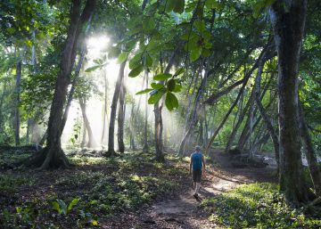 Costa Rica abre el camino hacia el fin de los plásticos de un solo uso Costa Rica abre el camino hacia el fin de los plásticos de un solo uso