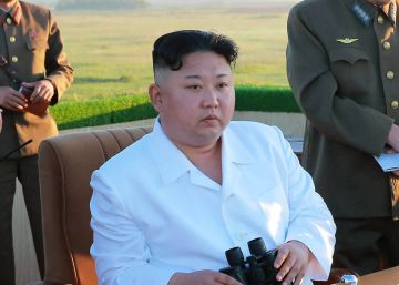 Los sacauntos o esos hombres que nos querían secuestrar y llevar a Corea Los sacauntos o esos hombres que nos querían secuestrar y llevar a Corea