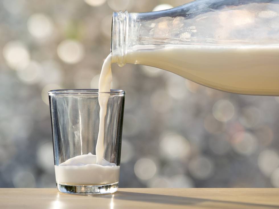 leche de vaca