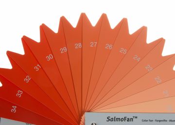 El salmón de su supermercado sería blanco si no fuese por esta técnica El salmón de su supermercado sería blanco si no fuese por esta técnica