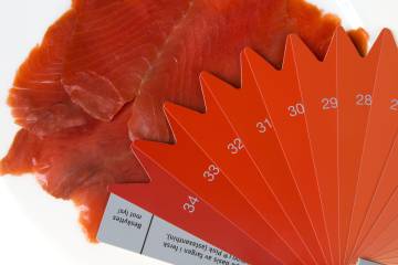 paleta de colores salmon