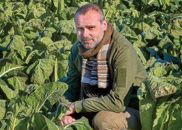 La cocina verde de Rodrigo de la Calle