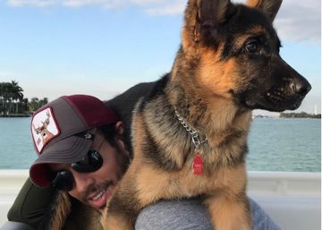 Enrique Iglesias le pone una escena erótica a su perro Max y lo sube a Instagram Enrique Iglesias le pone una escena erótica a su perro Max y lo sube a Instagram