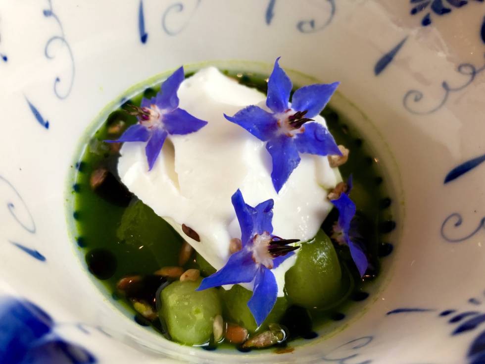 PEPINOS ENCURTIDOS CON SEMILLAS DE GIRASOL Y QUESO FRESCO, RESTAURANTE KOKOKO CAPEL