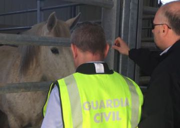 Dozens arrested in Spanish-led raid against horsemeat racket Dozens arrested in Spanish-led raid against horsemeat racket