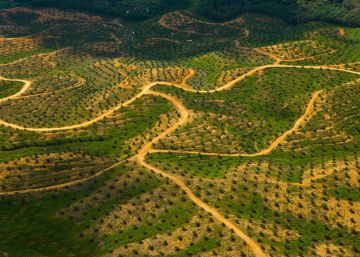 ¿Amas la naturaleza? Deja de tirar comida ¿Amas la naturaleza? Deja de tirar comida