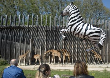 La desaparición de los animales La desaparición de los animales