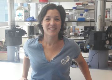 “Se puede disfrutar mejor del café cuando no se echa azúcar” “Se puede disfrutar mejor del café cuando no se echa azúcar”