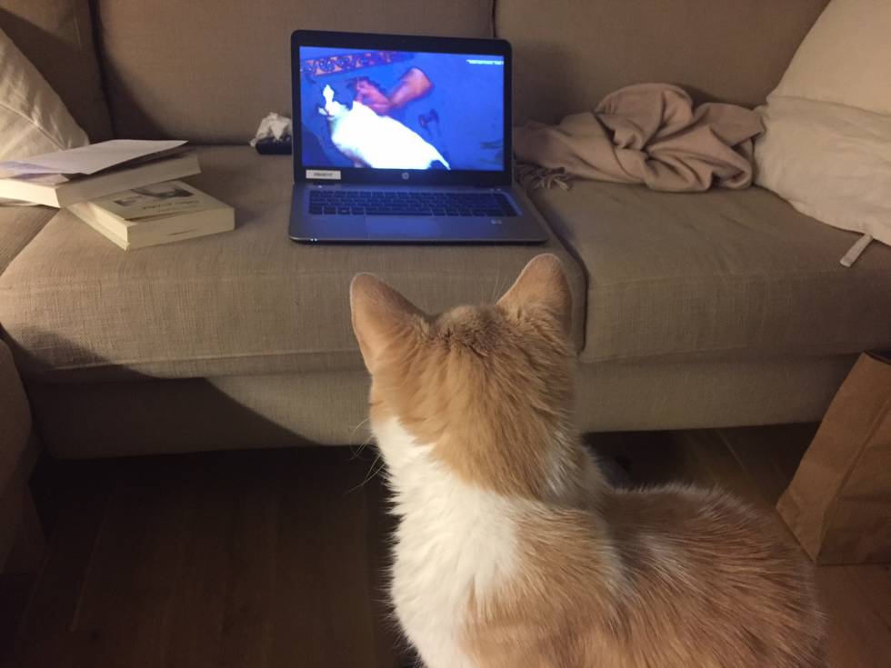 'Mía' viendo su primera película.
