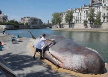 Una ballena varada en el centro de París Una ballena varada en el centro de París