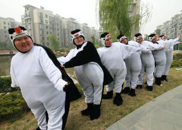 ‘Obesidade oculta’ afeta mais de 80% dos ocidentais ‘Obesidade oculta’ afeta mais de 80% dos ocidentais