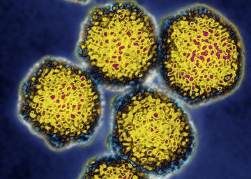 Un paso más en la lucha contra la hepatitis C Un paso más en la lucha contra la hepatitis C