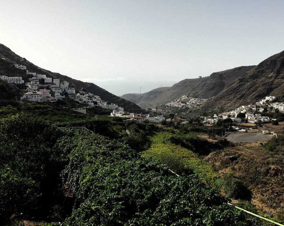 EL VALLE DE AGAETE, EL MAR AL FONDO CAPEL