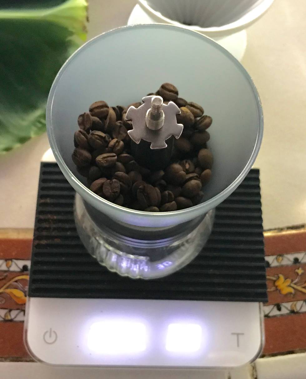 MOLIENDO EL CAFÉ POCO ANTES DE PREPARARLO CAPEL