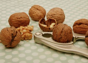 ¿Por qué no engordan los frutos secos? ¿Por qué no engordan los frutos secos?