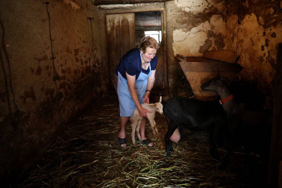 Amada Ruiz with one of her lambs and goats.