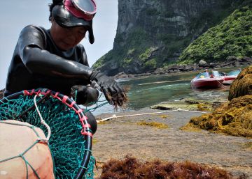 Las sirenas de Jeju Las sirenas de Jeju