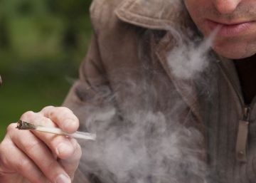 Barcelona consumeix 2,5 tones de cànnabis i 700 quilos de cocaïna l’any