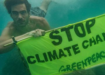 Ecología y famosos, la importancia de un ‘trending topic’ verde
