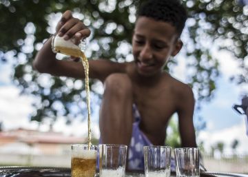 Las ‘Vacaciones en Paz’ de niños saharauis en España languidecen