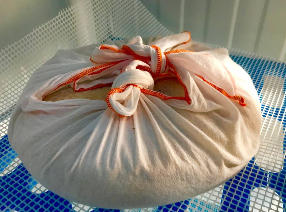 QUESO FLOR DE GUÍA MADURANDO ENVUELTO EN SERVILLETA CAPEL